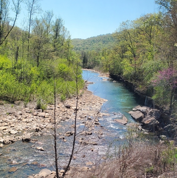 Meet your Posher, Elaine - Picture 5 of 8